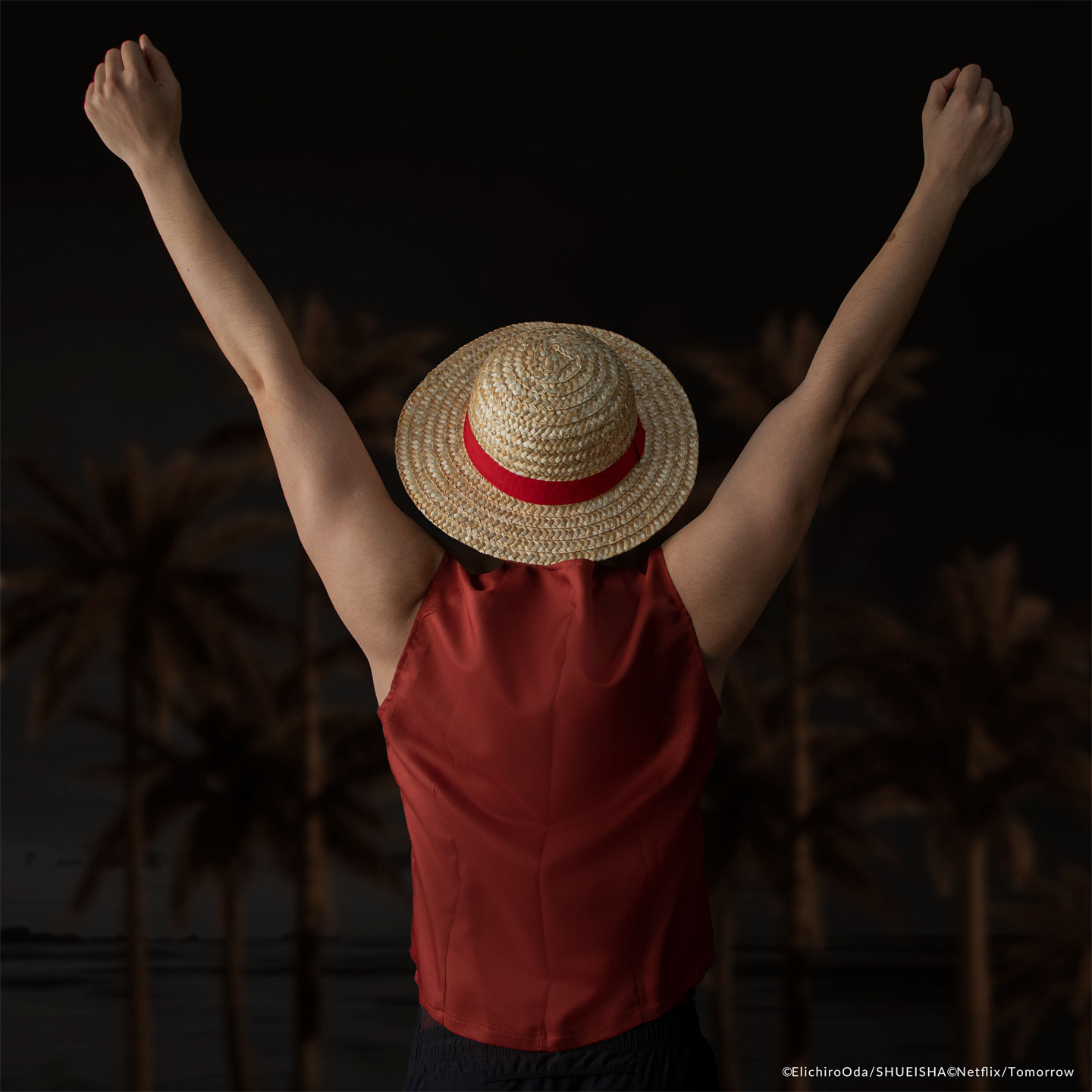 Nouveau chapeau de paille Luff - One Piece Straw Hat avis et prix